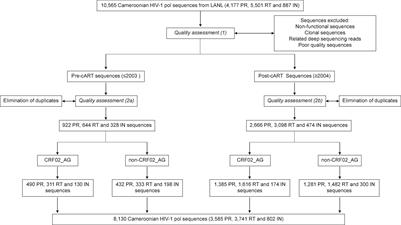 Antiretroviral Imprints and Genomic Plasticity of HIV-1 pol in Non-clade B: Implications for Treatment